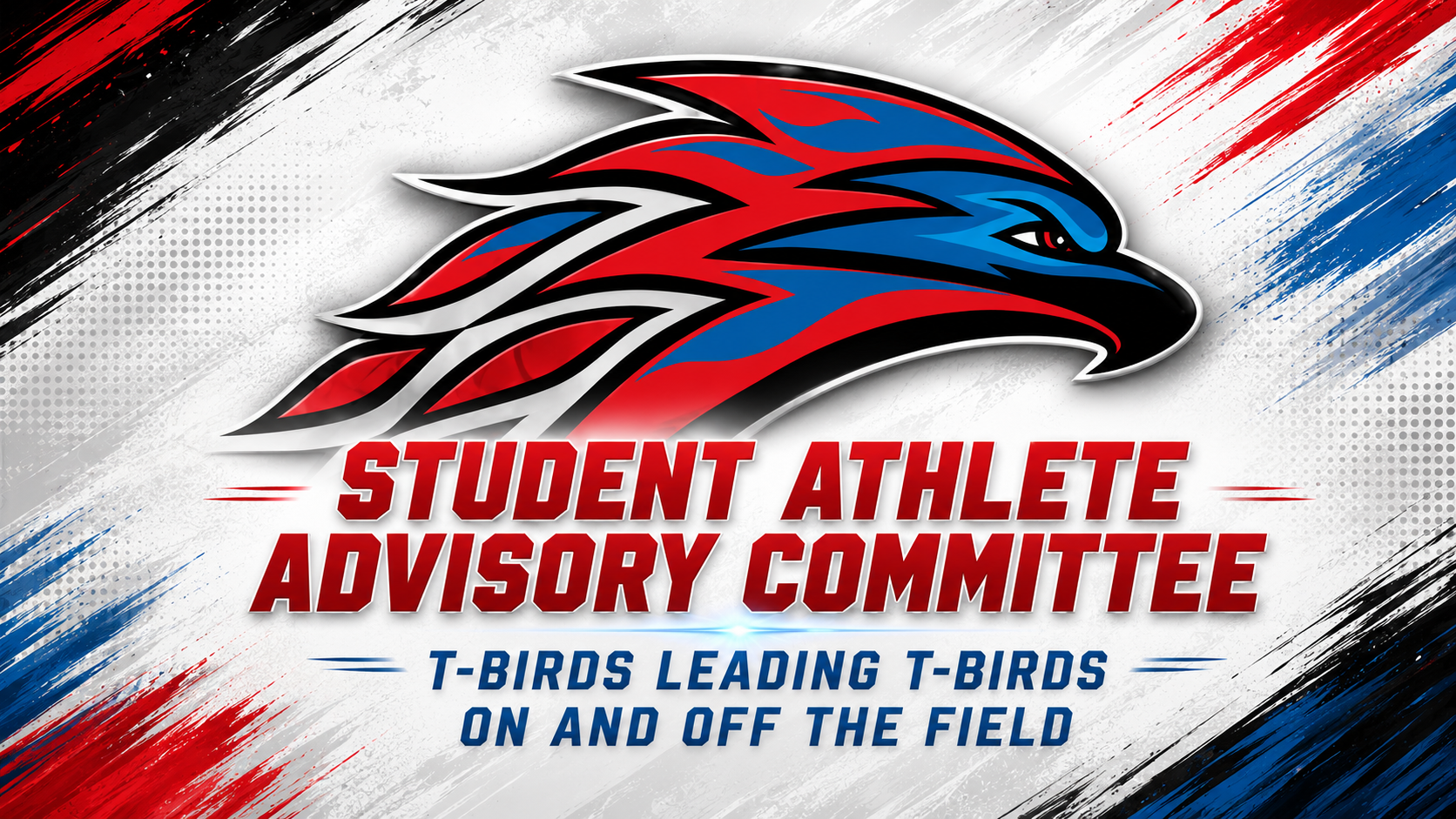Student-Athlete Advisory Committee