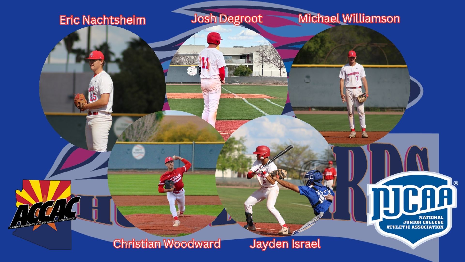 Five Mesa Baseball T-Birds earn postseason honors