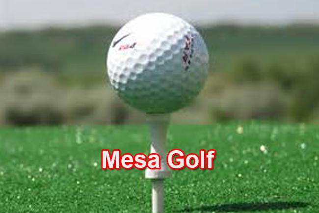 Men's golf stands second after first day of Thunderbird Classic