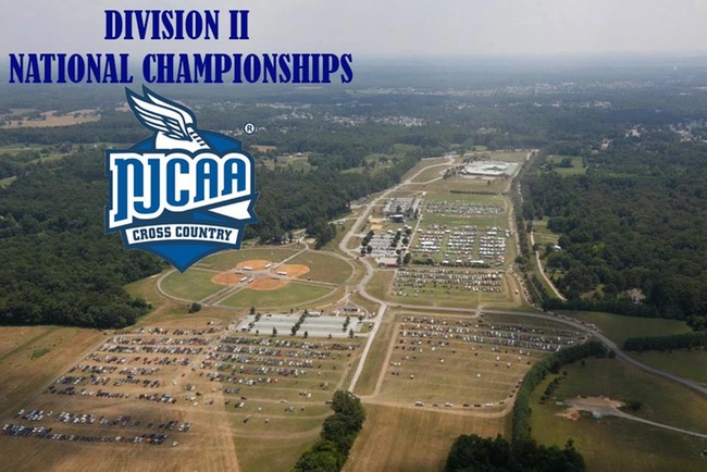 T-Birds Prepare for Cross Country Nationals