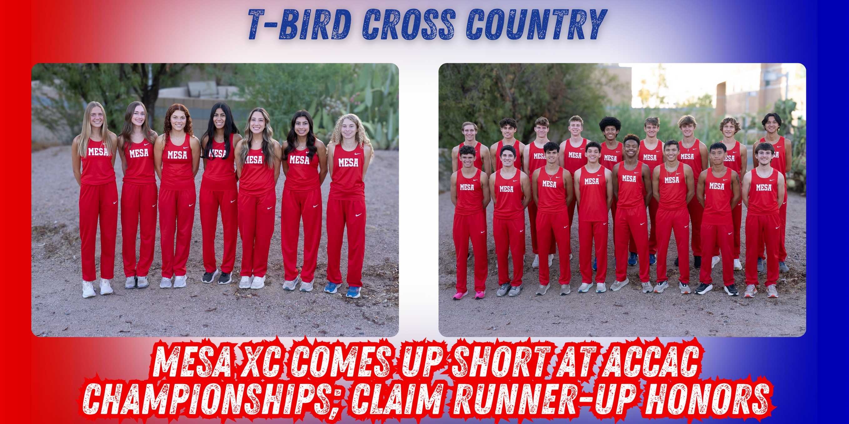 T-Bird Cross Country comes up short at ACCAC Championships