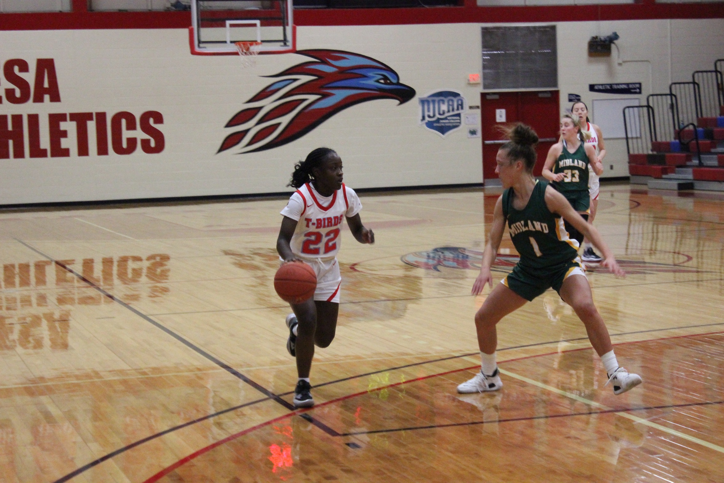 Jayla Johnson Earns Her Second ACCAC DII Women&rsquo;s Basketball Player of the Week Honors