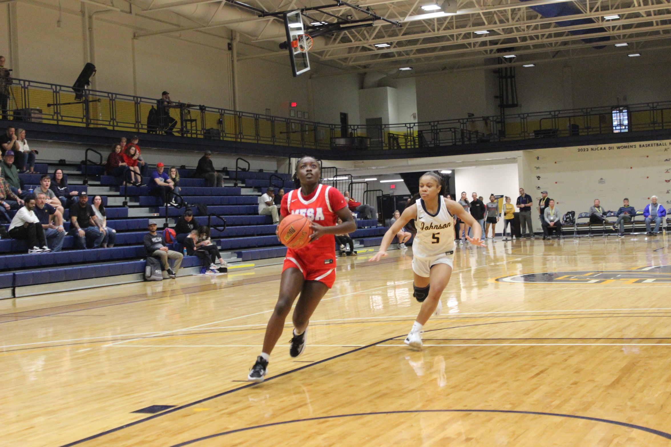Jayla Johnson Named To NJCAA DII All-American Second Team