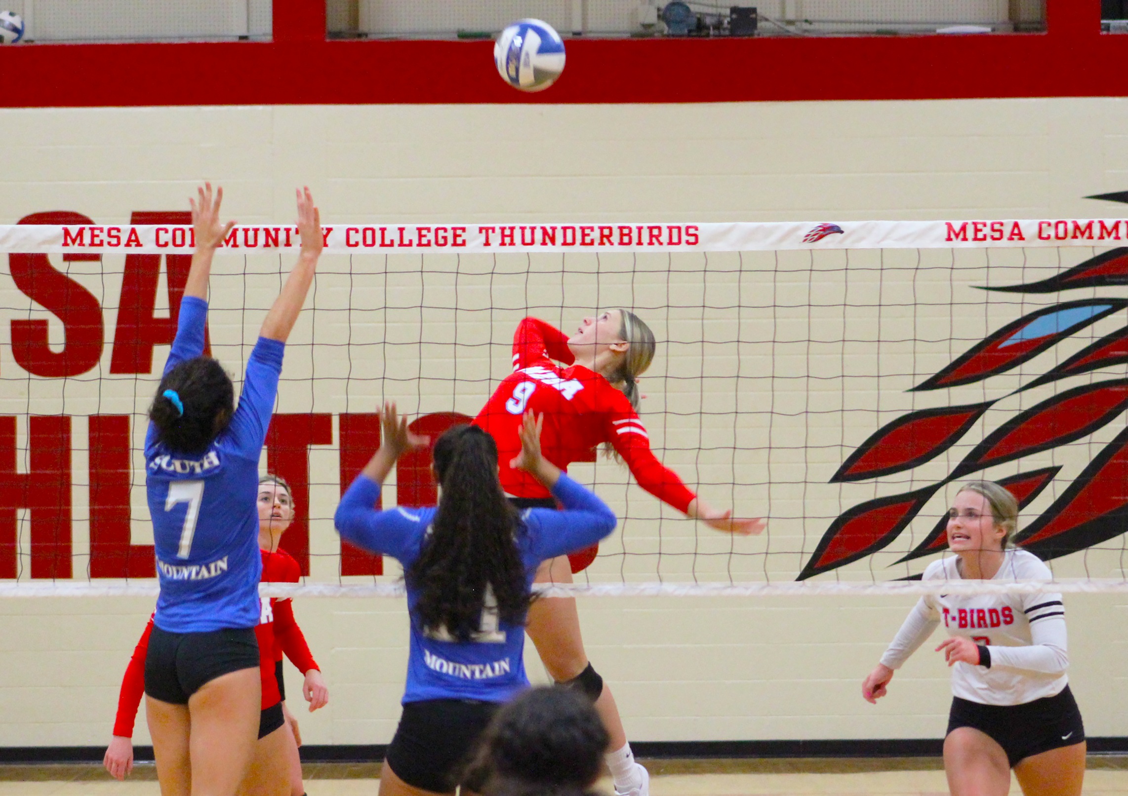 Mesa Volleyball Notches Win Over South Mountain