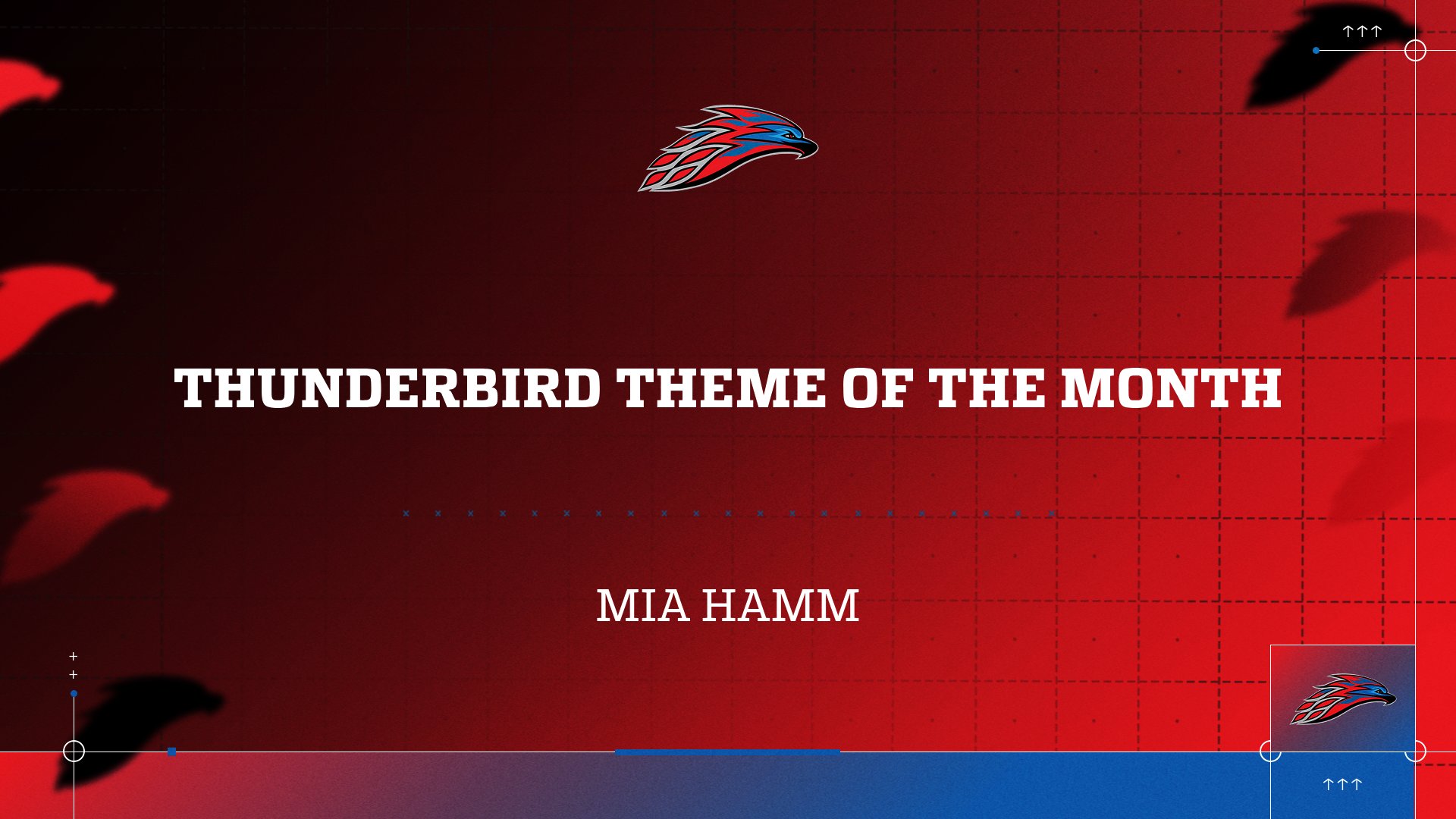 Thunderbird Theme of the Week - Mia Hamm